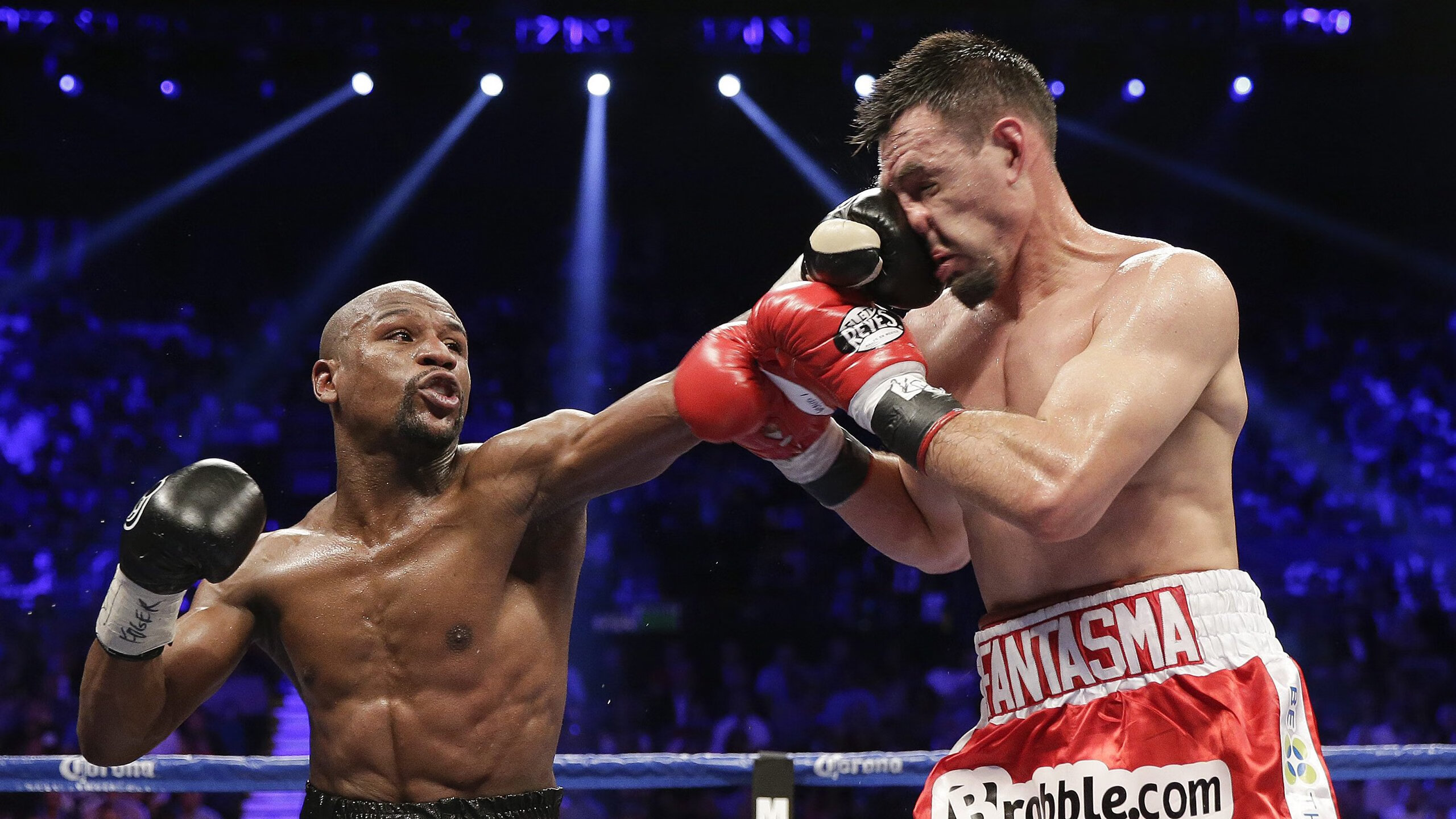 体育频道推出战术深度栏目邀请教练球员解读场上关键节点，体育频道官网